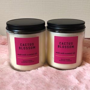 NWT White Barn candles
